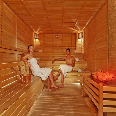 فندق Swandor &